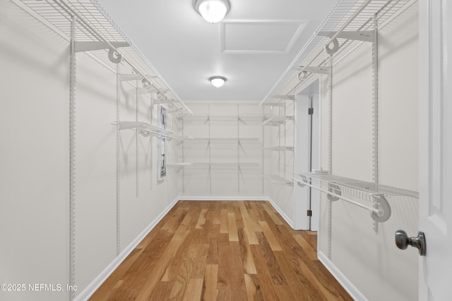 walk in closet with hardwood / wood-style floors