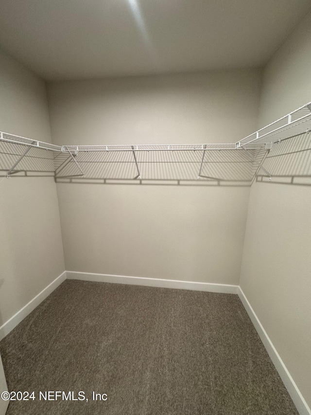 spacious closet featuring dark colored carpet