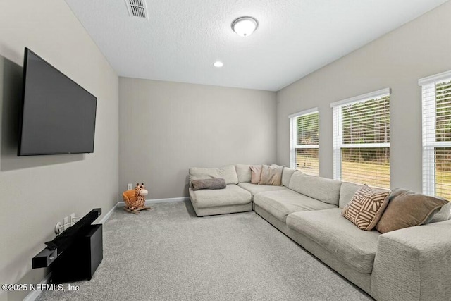 living room featuring carpet floors, plenty of natural light, and a textured ceiling