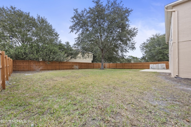 view of yard featuring a patio