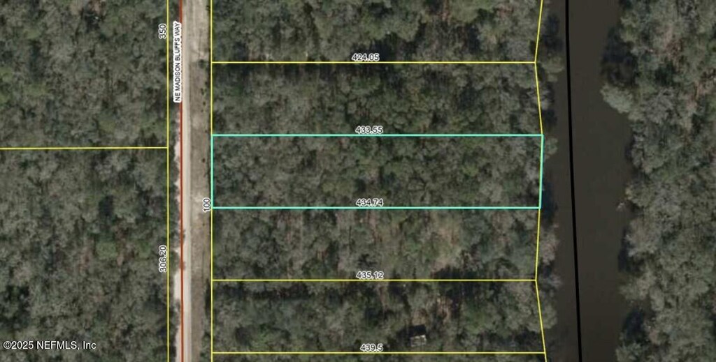 LOT12 NE Madison Bluffs Way, Lee, FL 32059 - photo 2