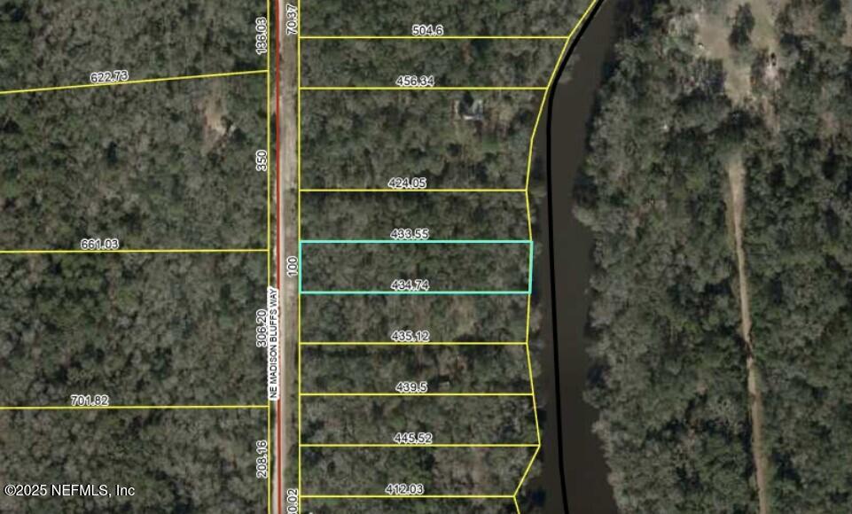 LOT12 NE Madison Bluffs Way, Lee, FL 32059 - photo 3