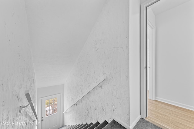 stairway with carpet floors