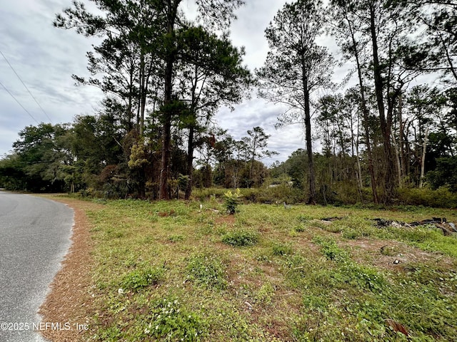 115 Michael Dr, Crescent City FL, 32112 land for sale