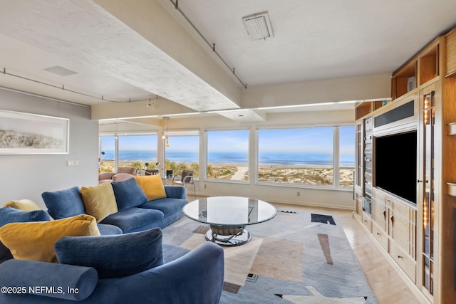 living room featuring plenty of natural light and light hardwood / wood-style floors