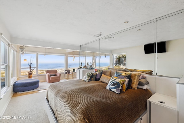 carpeted bedroom featuring multiple windows