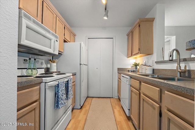 kitchen with light wood-type flooring, white appliances, track lighting, and sink