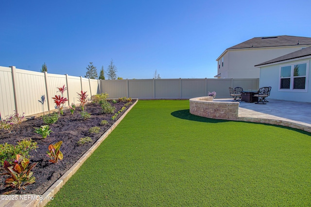 view of yard featuring a patio area