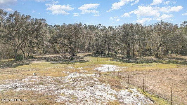 view of nature featuring a rural view