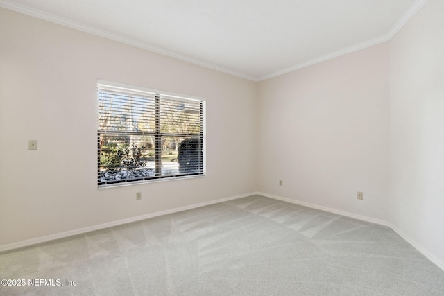 carpeted empty room featuring crown molding