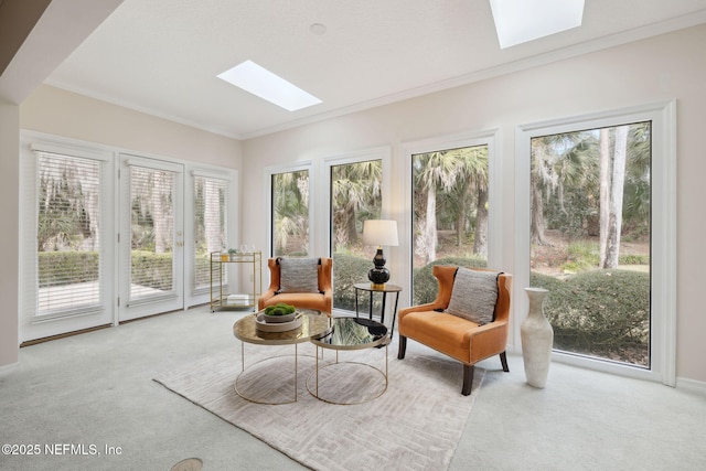 sunroom with a skylight