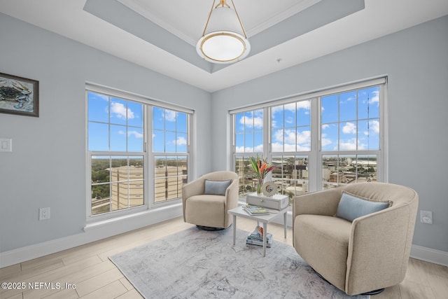 living area with light hardwood / wood-style floors and a tray ceiling