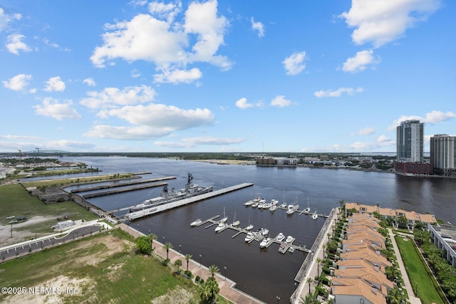 birds eye view of property with a water view