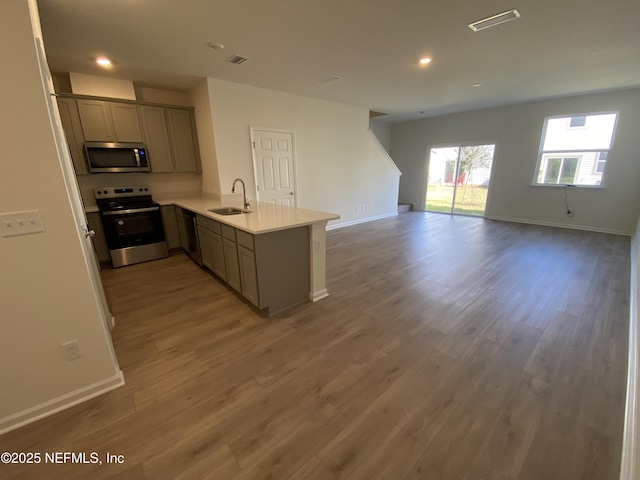 kitchen with kitchen peninsula, appliances with stainless steel finishes, hardwood / wood-style floors, and sink