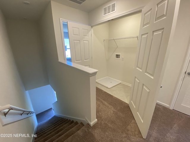 staircase featuring carpet flooring