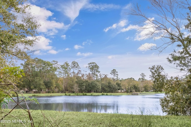 property view of water