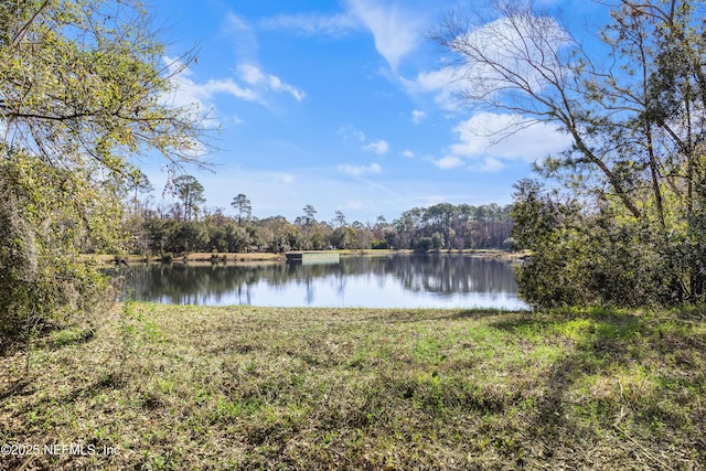 property view of water