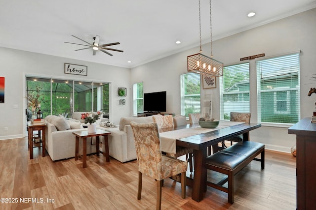 dining room featuring ceiling fan with notable chandelier, light wood-type flooring, and crown molding