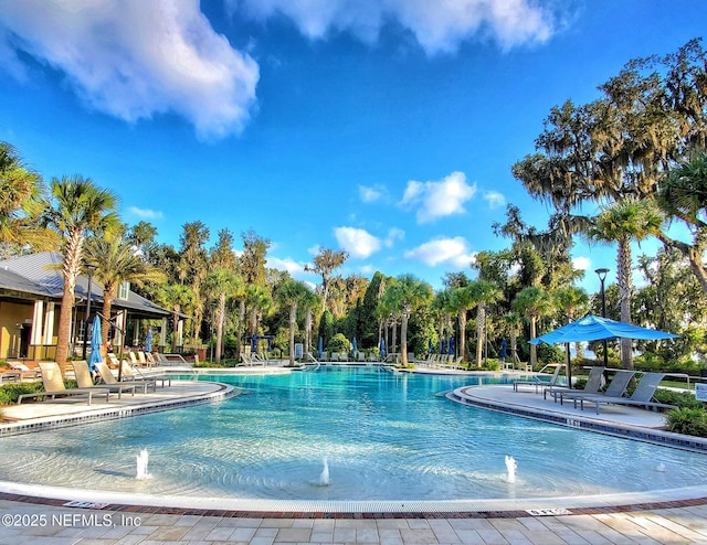 view of pool with a patio area and pool water feature