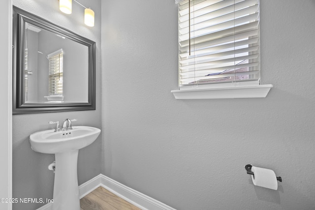 bathroom with wood-type flooring