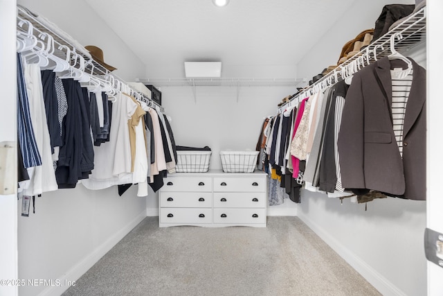 view of spacious closet