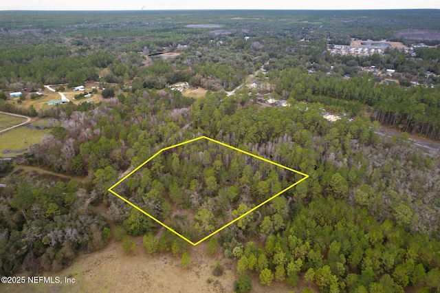 220 Chesser Rd, Palatka FL, 32177 land for sale