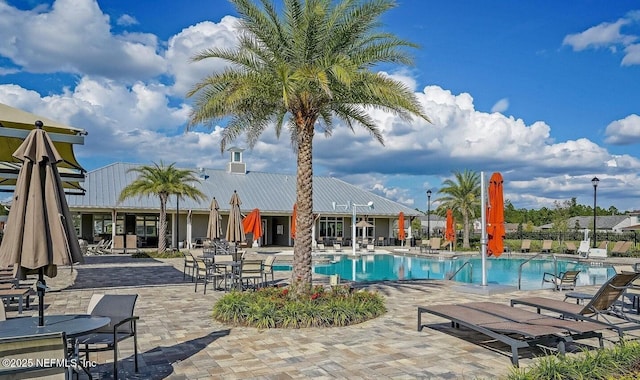 view of swimming pool with a patio area