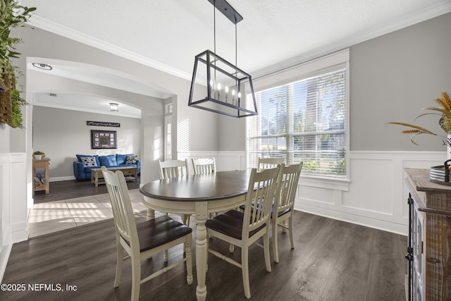 dining area with a textured ceiling, dark wood-type flooring, and ornamental molding