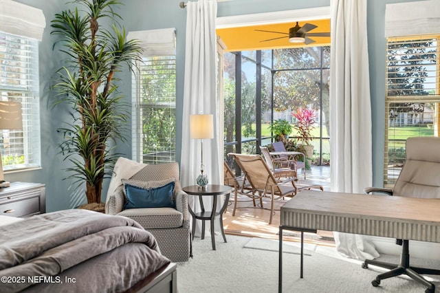 bedroom with multiple windows