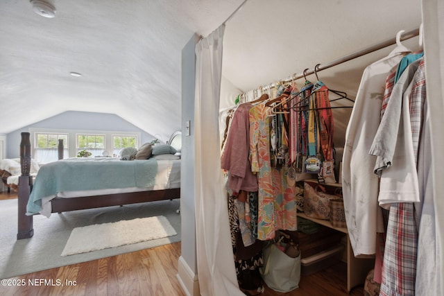 walk in closet with lofted ceiling and wood-type flooring