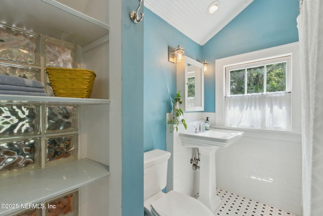 bathroom with sink, lofted ceiling, and toilet