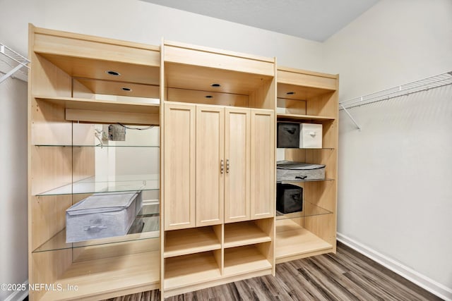 mudroom with dark hardwood / wood-style flooring