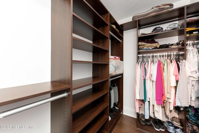 walk in closet featuring dark wood-type flooring