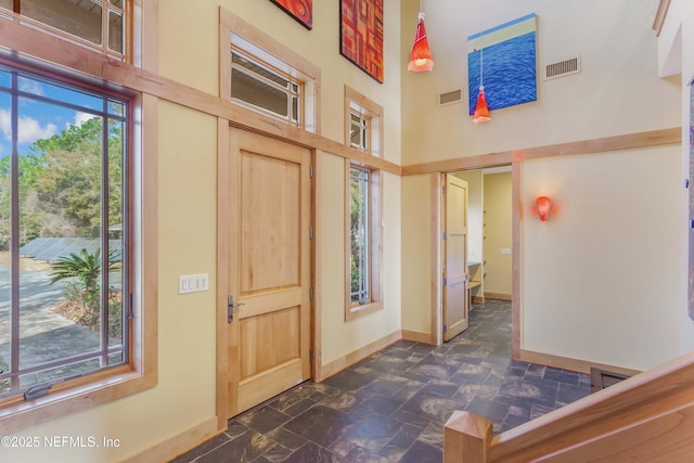 entrance foyer with a towering ceiling