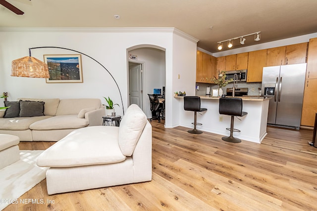 living room featuring rail lighting, light hardwood / wood-style floors, and ornamental molding