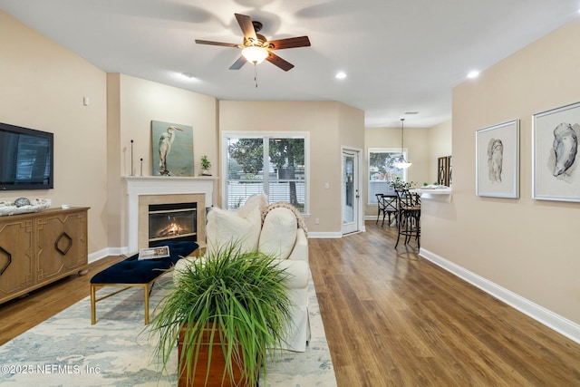 living room featuring hardwood / wood-style floors and ceiling fan