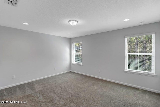 spare room with carpet and a textured ceiling