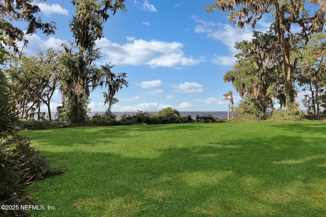 view of yard with a water view