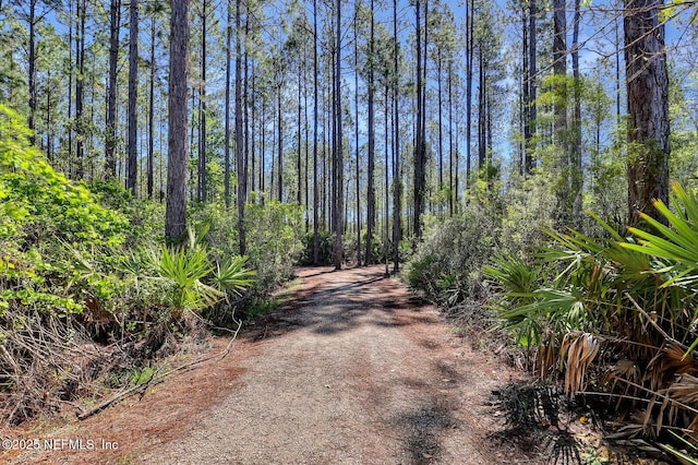 view of road