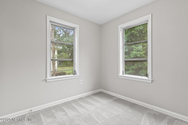 empty room featuring a wealth of natural light and light colored carpet