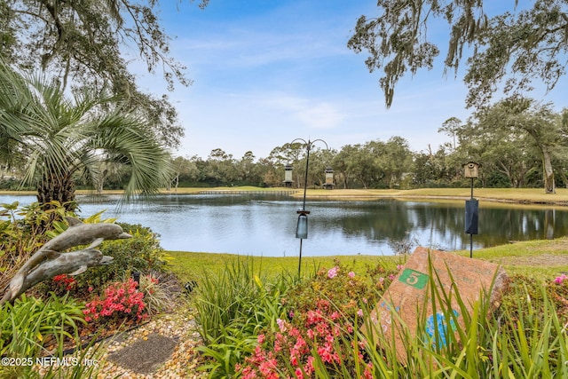 view of water feature