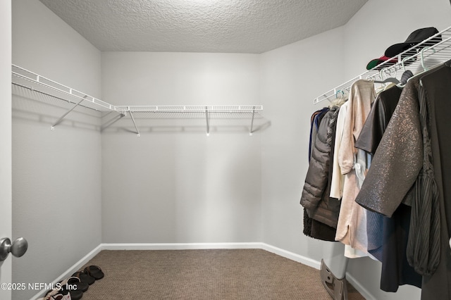 spacious closet with carpet flooring