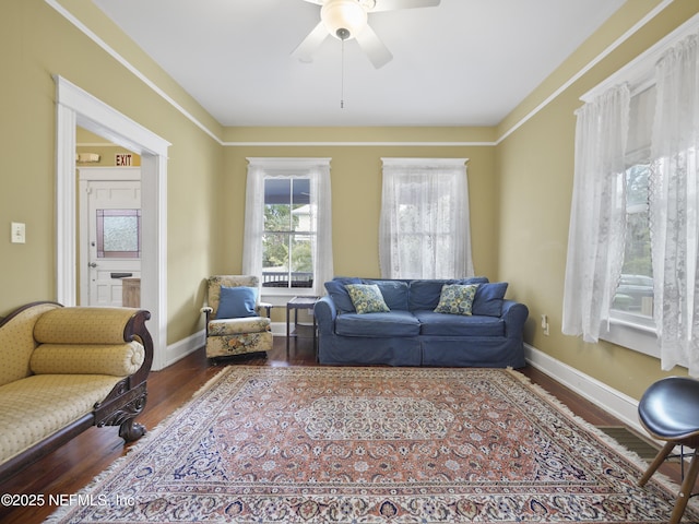 living room with ceiling fan and wood-type flooring