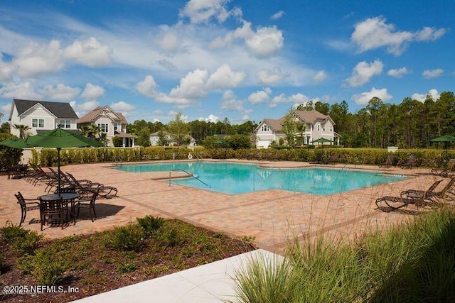 view of swimming pool featuring a patio area