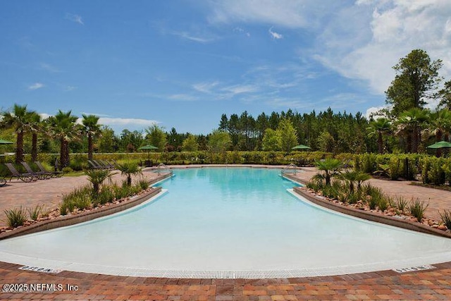 view of pool with a patio