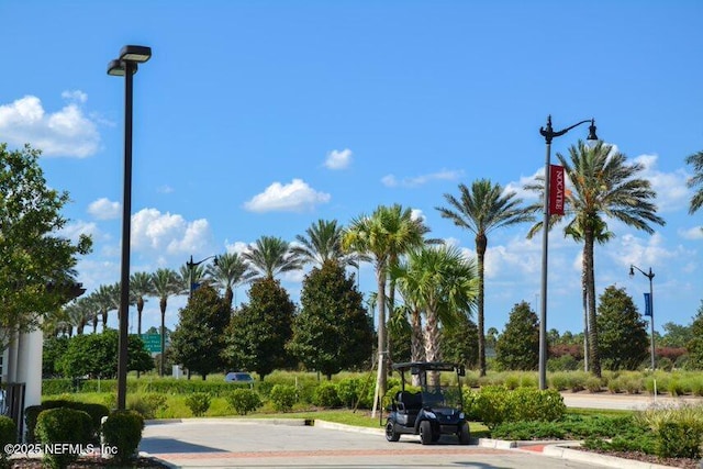 view of street