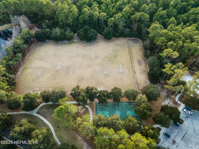 425 Portsmouth Bay Ave, Ponte Vedra, FL 32081 - photo 60