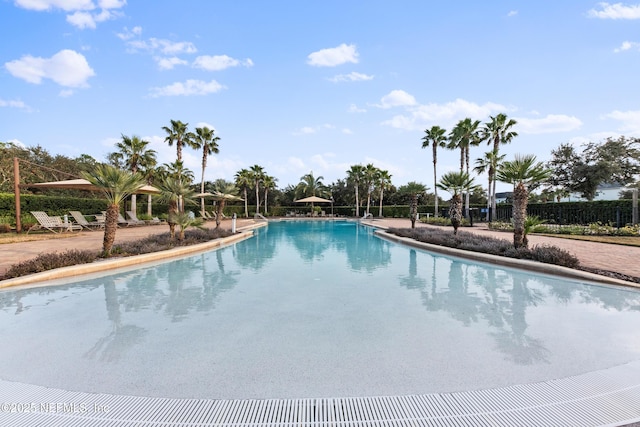 view of pool with a patio