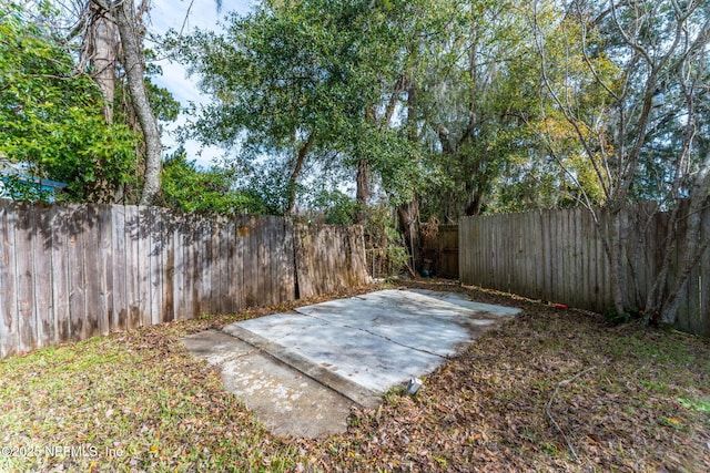 view of yard featuring a patio area