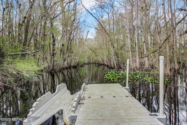 dock area featuring a water view